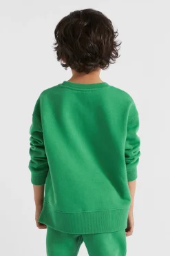 Seed Heritage Knitwear & Sweaters-Core Logo Sweat Jade