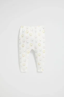 Seed Heritage Leggings & Pants-Lion Legging Canvas