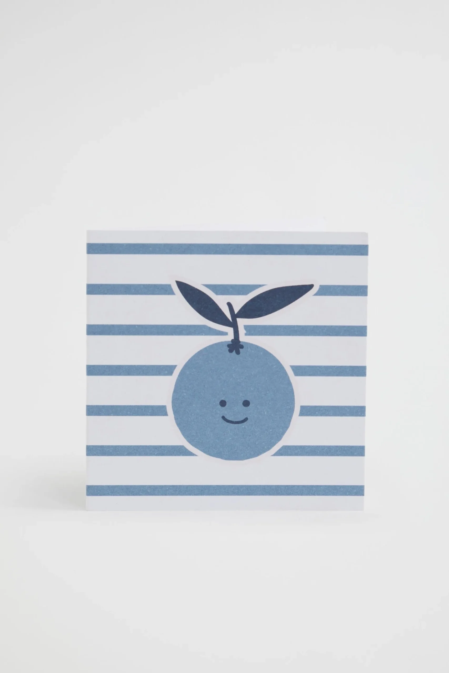 Seed Heritage Stationery-Small Blueberry Card Multi