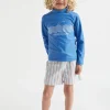 Seed Heritage Swimwear-Stripe Boardshort Multi